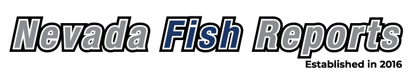 Nevada Fish Reports logo